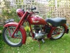 1954 Brave